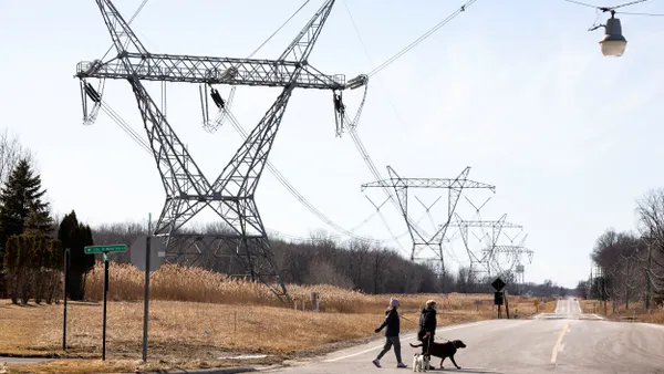 Transmission towers seen next to a road where two people are walking dogs.