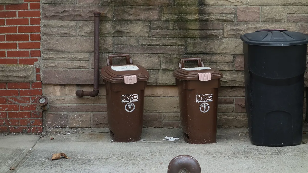 Two brown DSNY organics collection bins on the side of a street