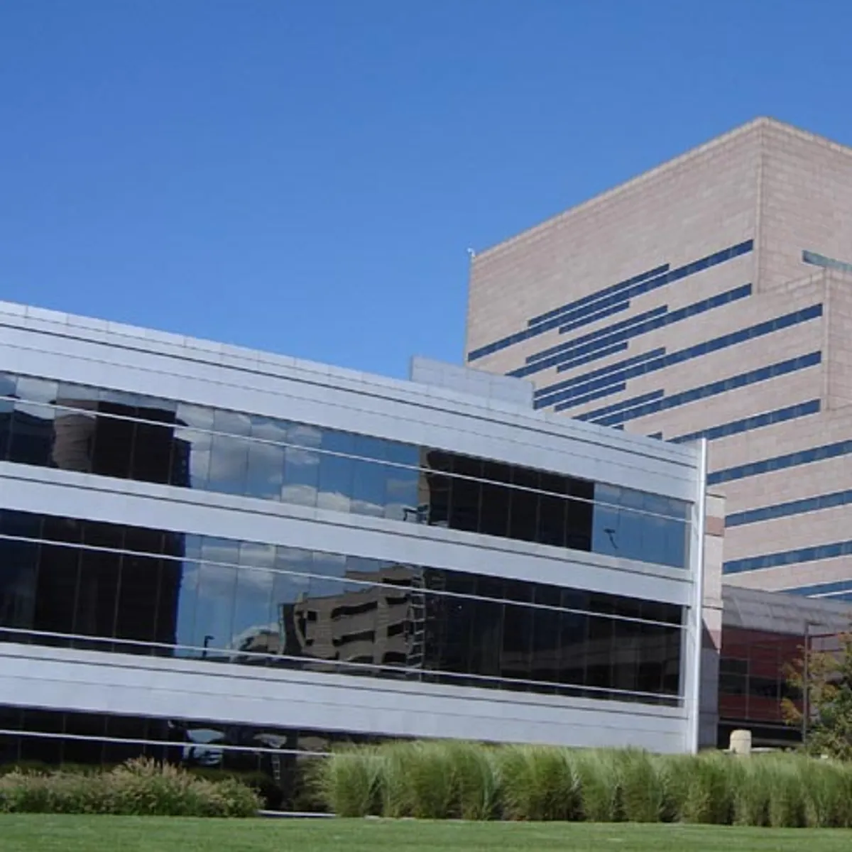 Tractica office