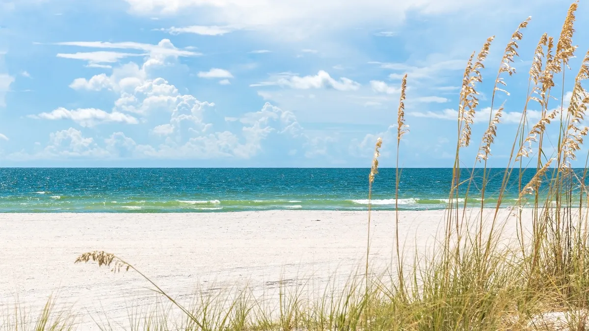 sand dunes on the florida coast