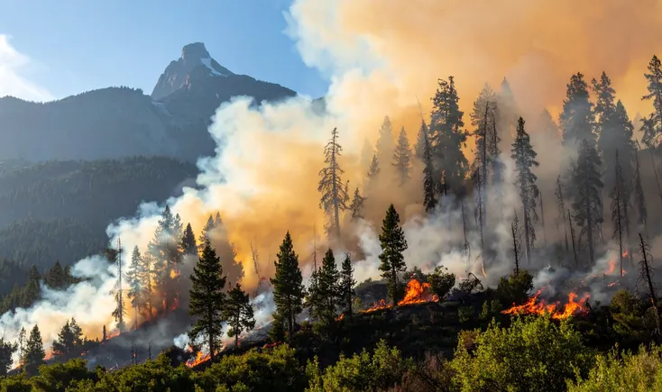 Grid Sensors Drive the Shift Beyond Wildfire Hardening