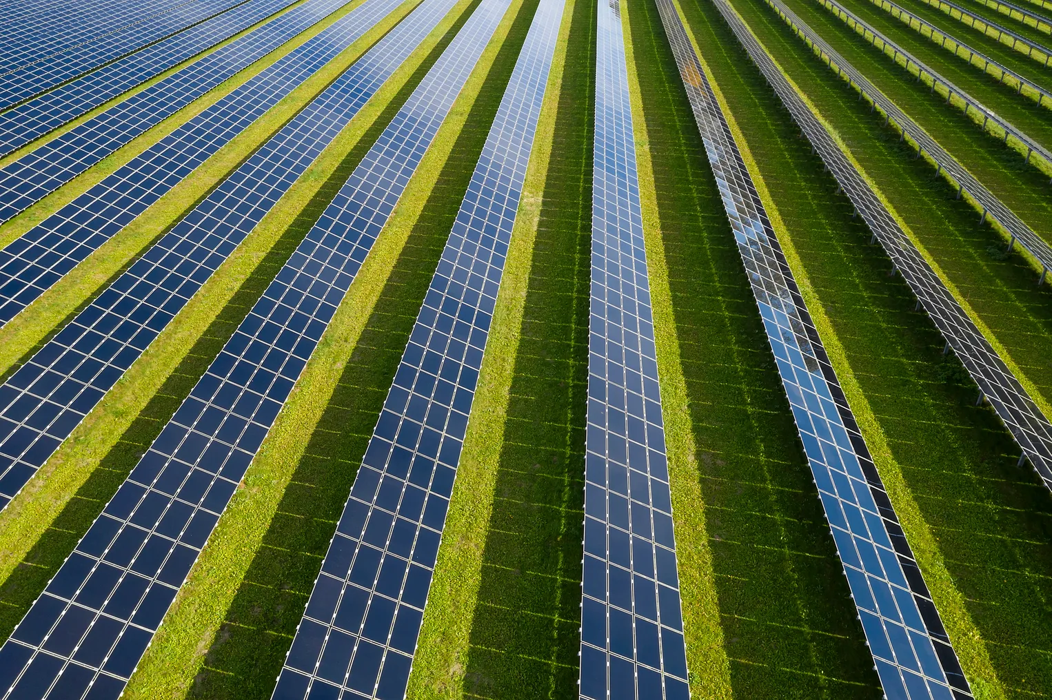 Rows of solar panels are seen against a green field.