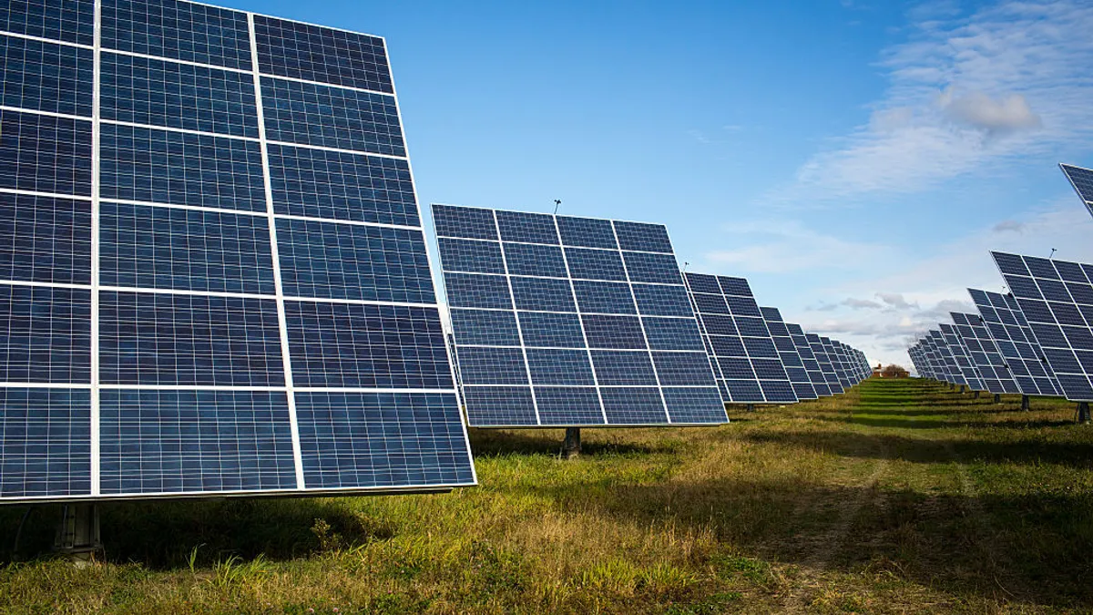 An array of solar panels stands on a farm