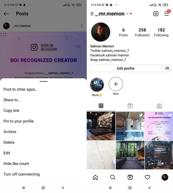Instagram pinned posts