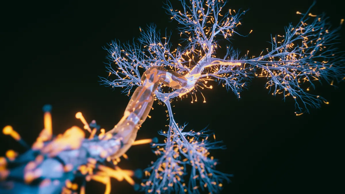 A 3D illustration of a nerve cell on a black background