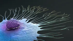 Scientific illustration of a migrating breast cancer cell