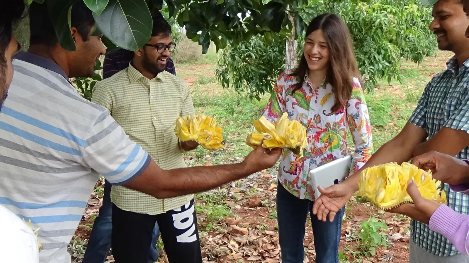 Three people in a group are holding large yellow pieces of cut-open jackfruit, with one showing it to Jack & Annie's CEO Annie Ryu.