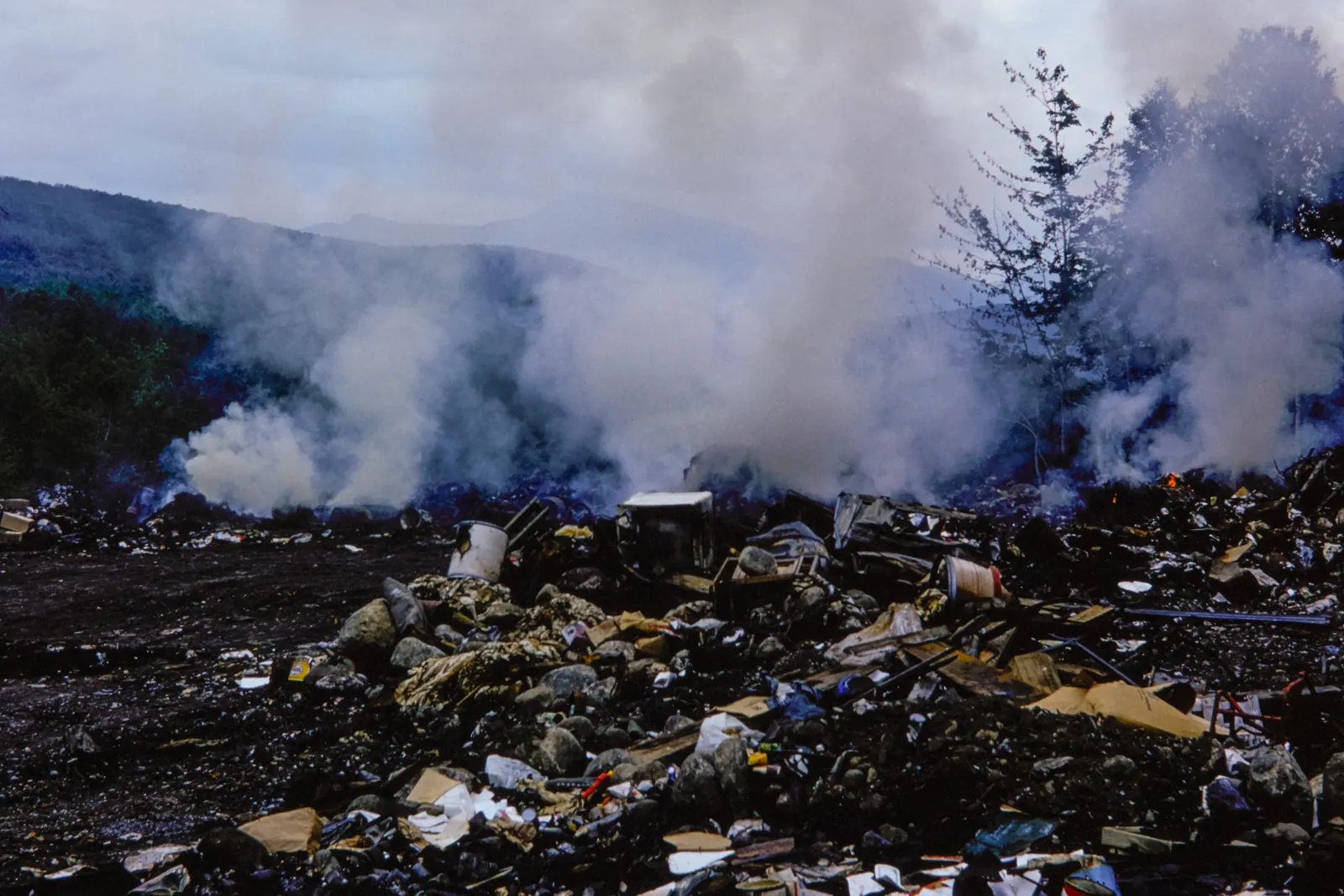 Burning pile of waste in the woods under a night sky