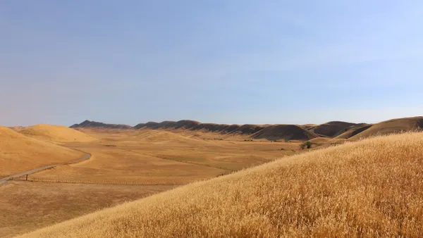 A shot of golden rolling fields in the dusk.