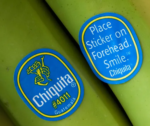 Banana crops in danger | Food Dive