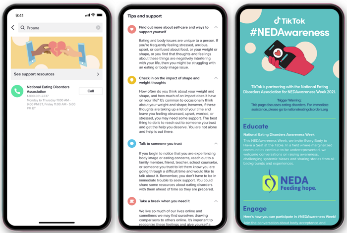 TikTok NEDA tools