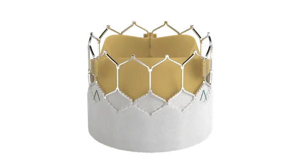 An artificial heart valve is shown against a white background.