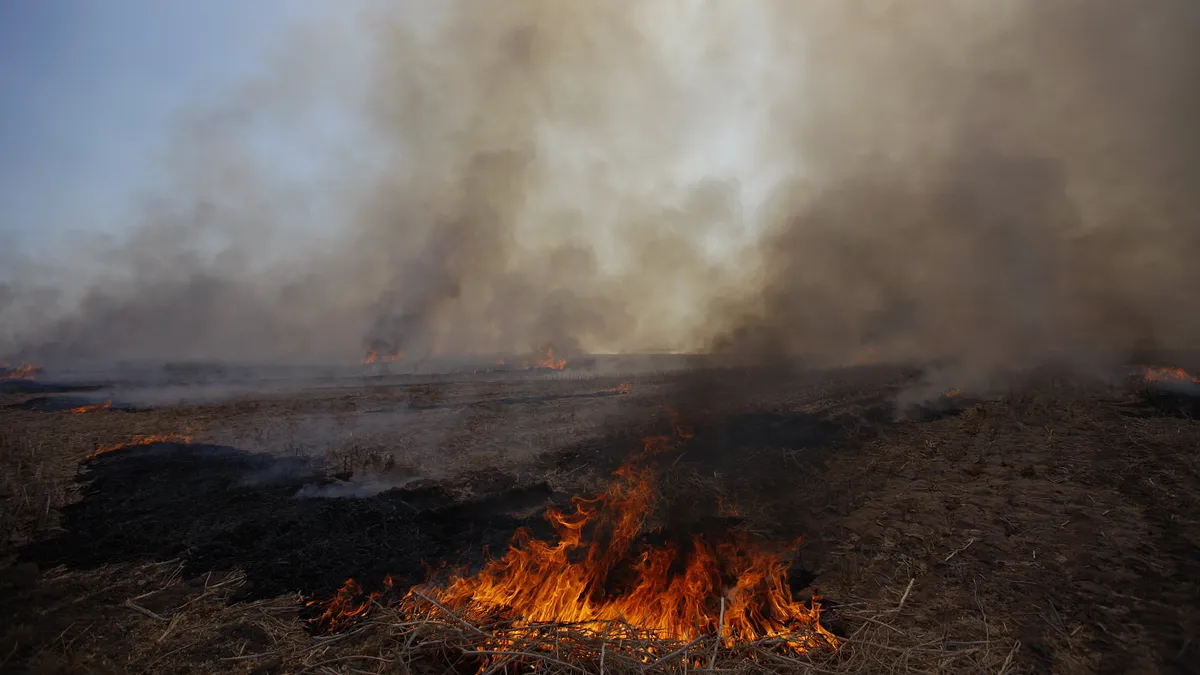 Workers burn off a field.