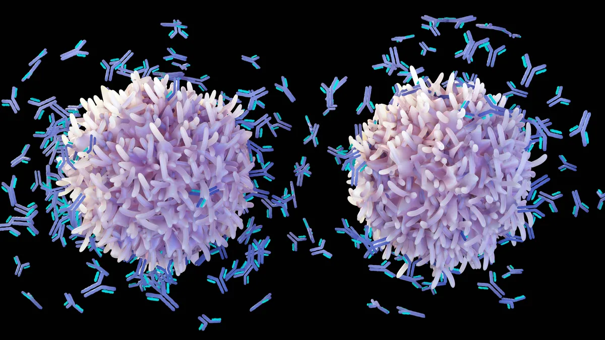 An illustration of B cells producing antibodies