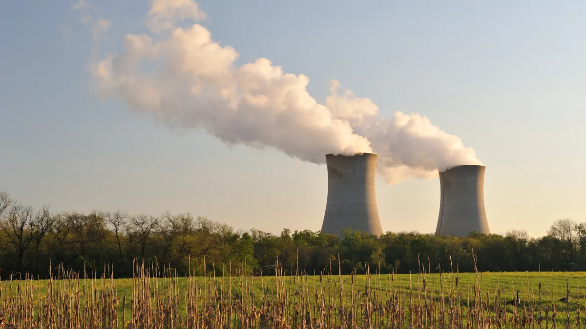 Two cooling towers at Constellation Energy's 2,300-MW Limerick nuclear power plant in Pottstown, Pennsylvania.