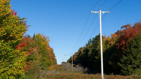 Electric transmission lines run through the woods.