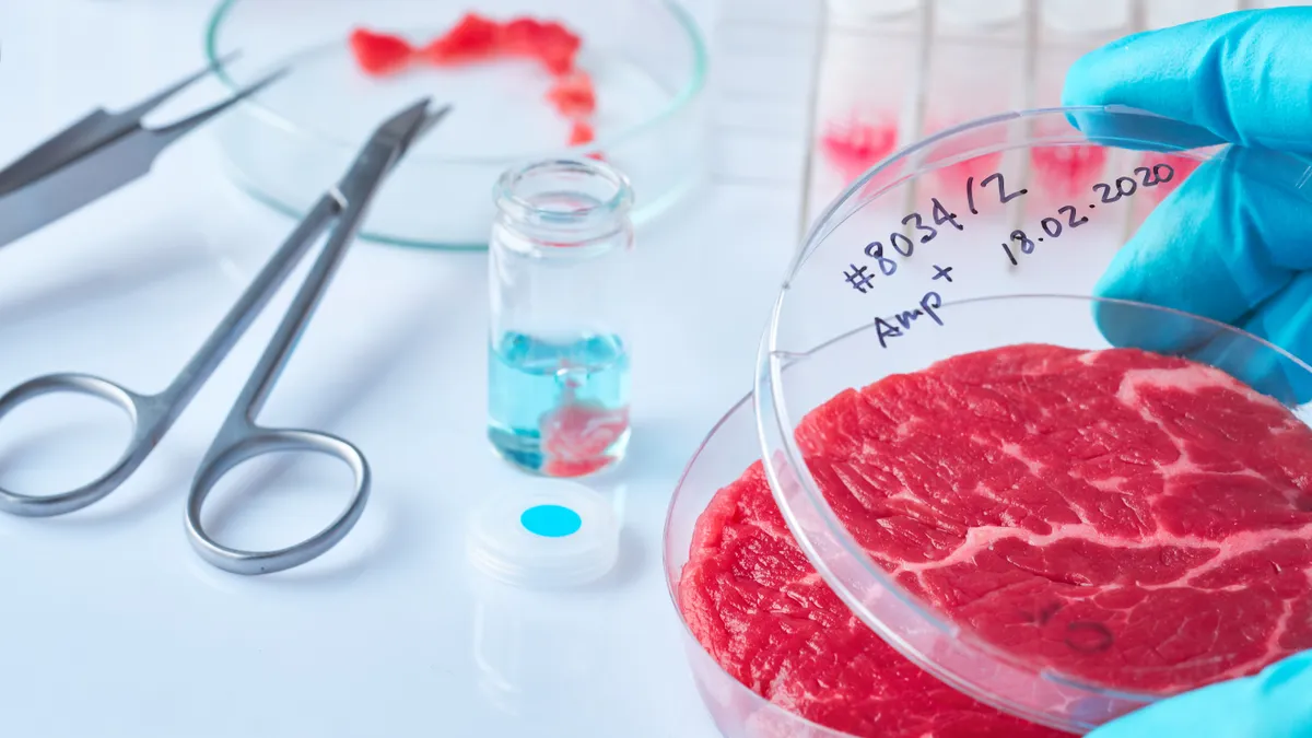 Meat sample in open disposable plastic cell culture dish in modern laboratory or production facility.