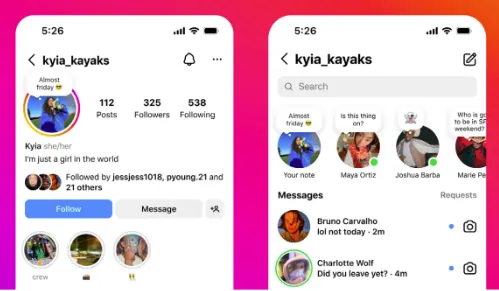 Notes on IG profiles