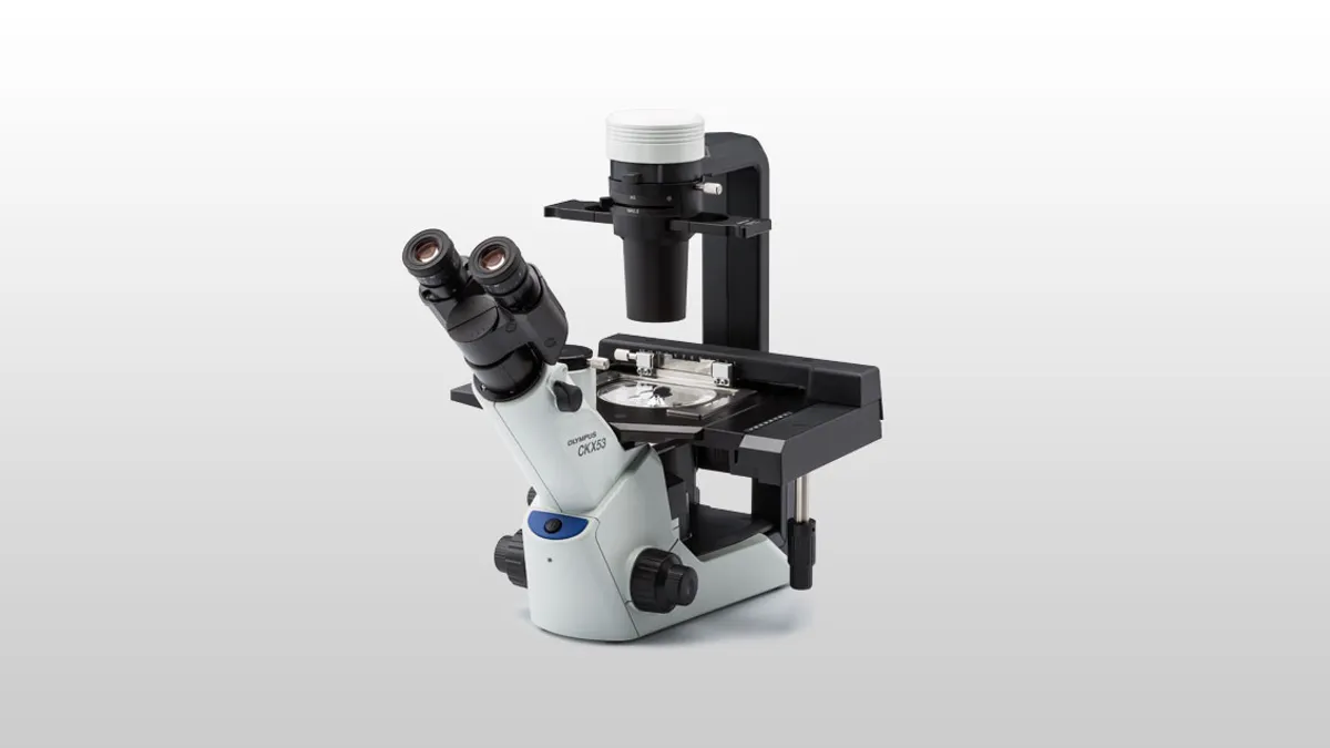 The Olympus CKX53 inverted microscope.