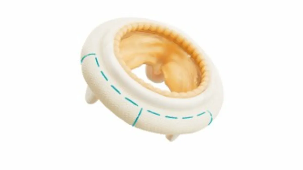 A closeup of the porcine heart valve against a white background.