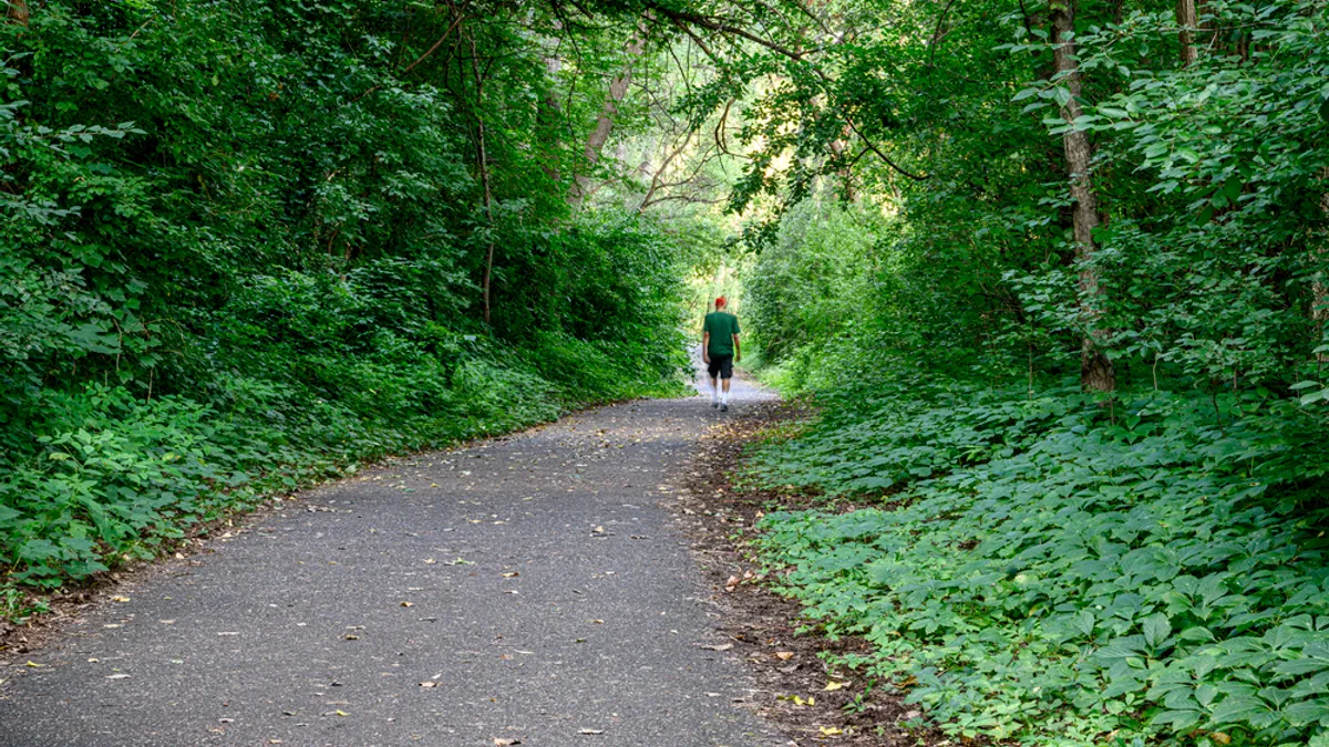 A person walks down a path in a forest.