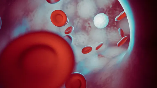 An illustration of Red and white blood cells inside a vein or artery.