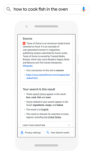 Google Search explainers