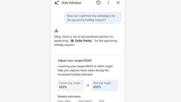 Google Ads Advisor