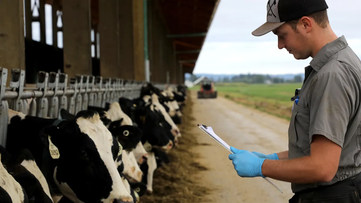 A person in front of dairy cow stalls owned by a Northwest Dairy Association member making products for Darigold.