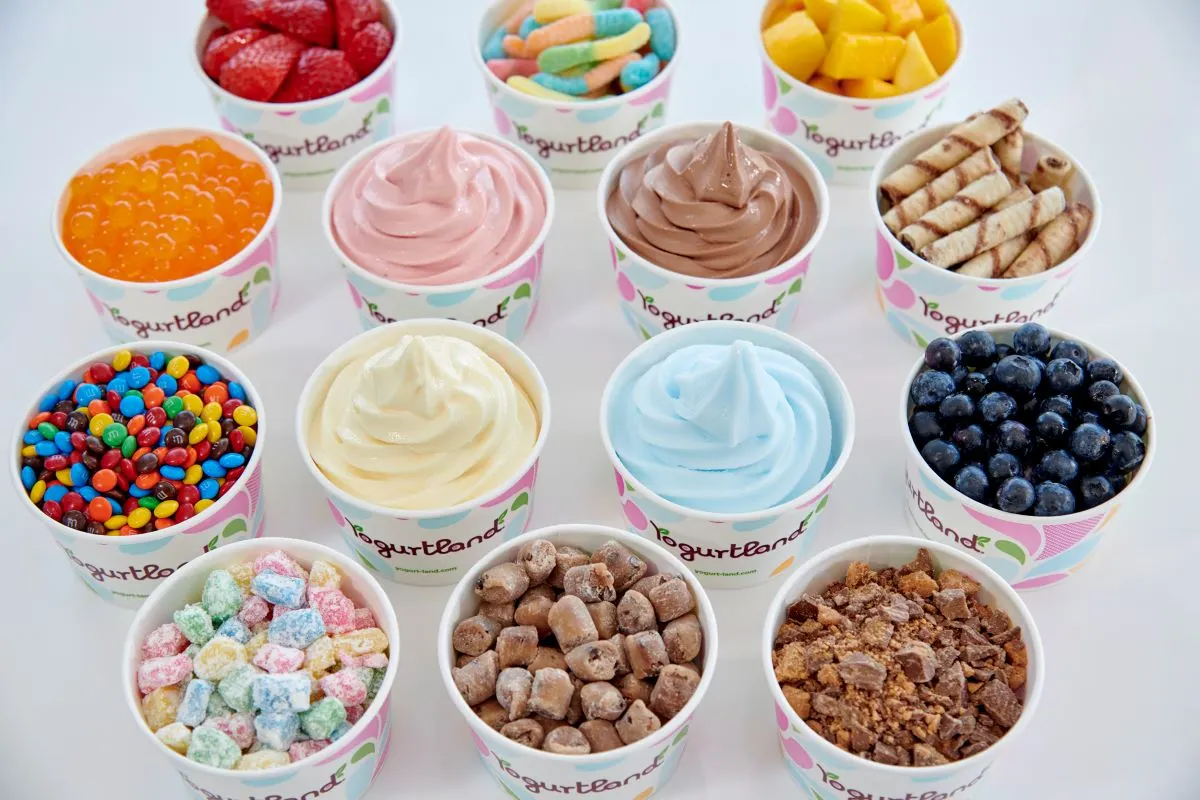 Various bowls of different toppings and frozen yogurt flavors at Yogurtland