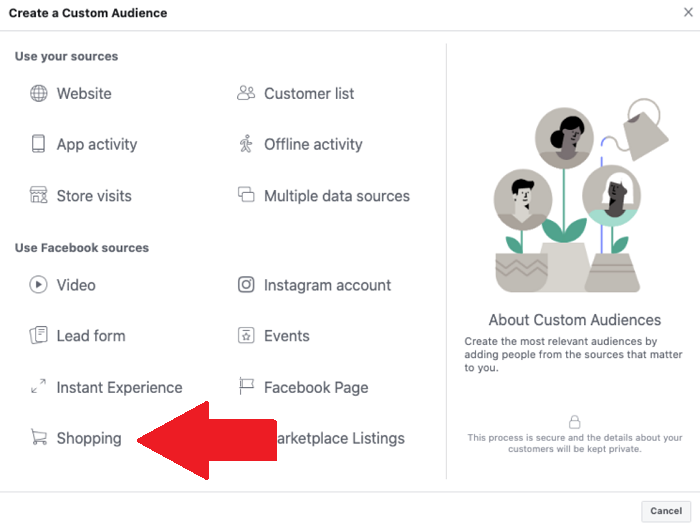 Facebook custom audiences - shopping