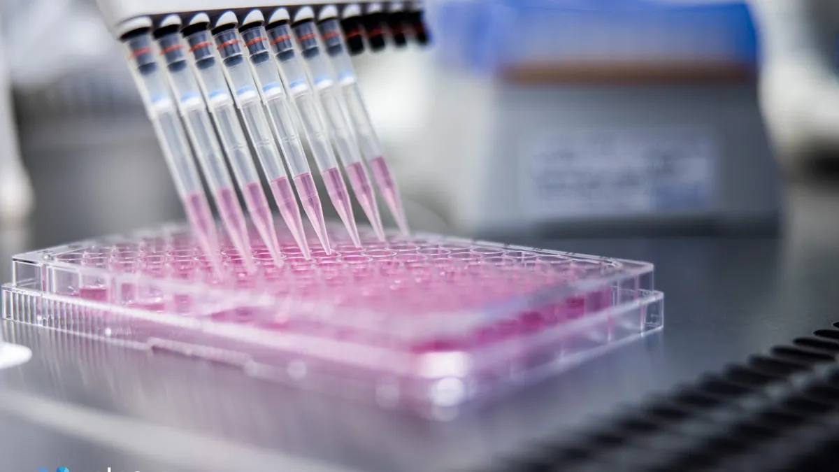 multiple syringes with pink liquid filling up capsules directly below