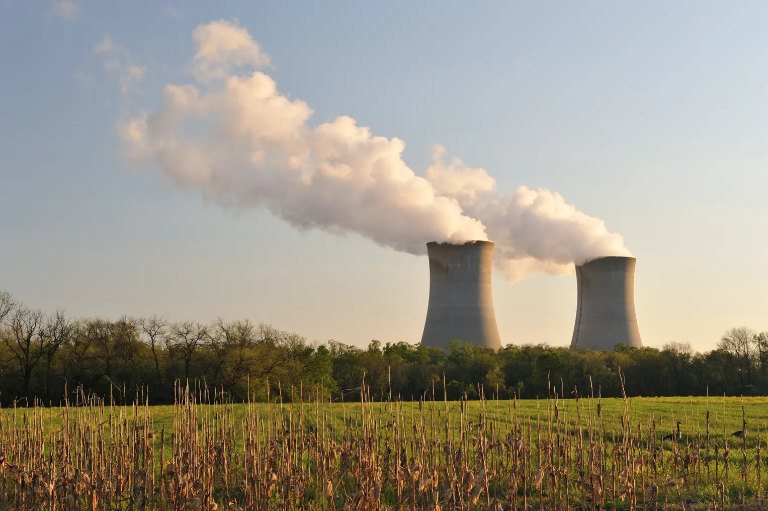 Two cooling towers at Constellation Energy's 2,300-MW Limerick nuclear power plant in Pottstown, Pennsylvania.