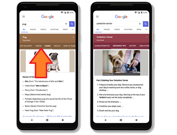 Google search subtopics