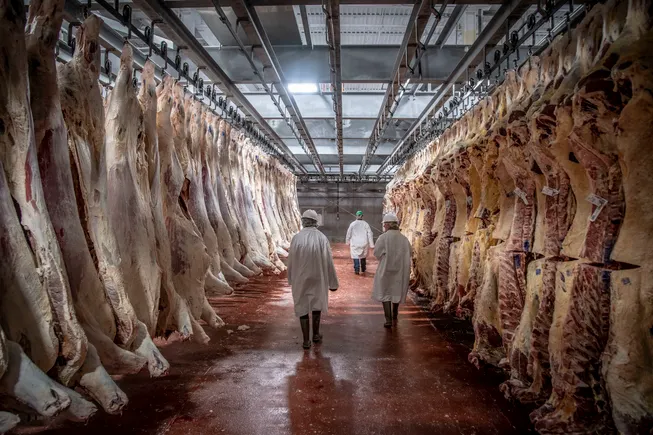 Plant employees can perform meat inspections, court rules | Food Dive