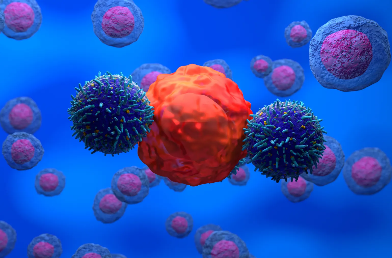 An illustration of engineered CAR-T cells attacking a cancer cell.