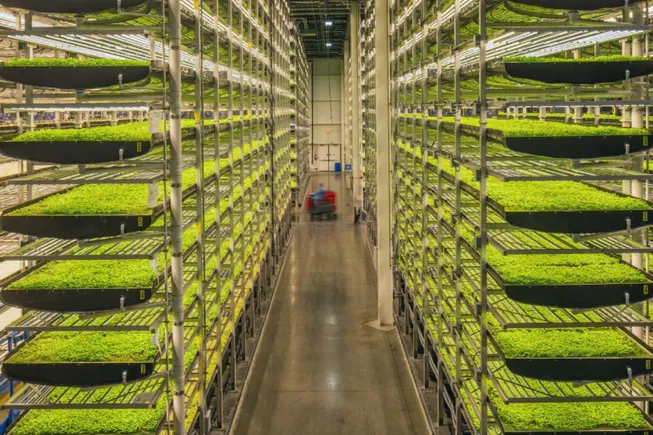 Aerofarms Emerges From Bankruptcy Fully Funded And With A New CEO ...