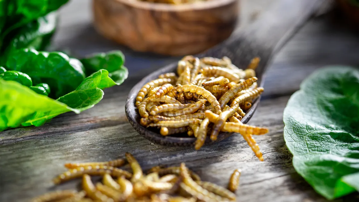 A wooden spoon full of mealworms sits on a wood table with other containers of mealworms and greens in the periphery.