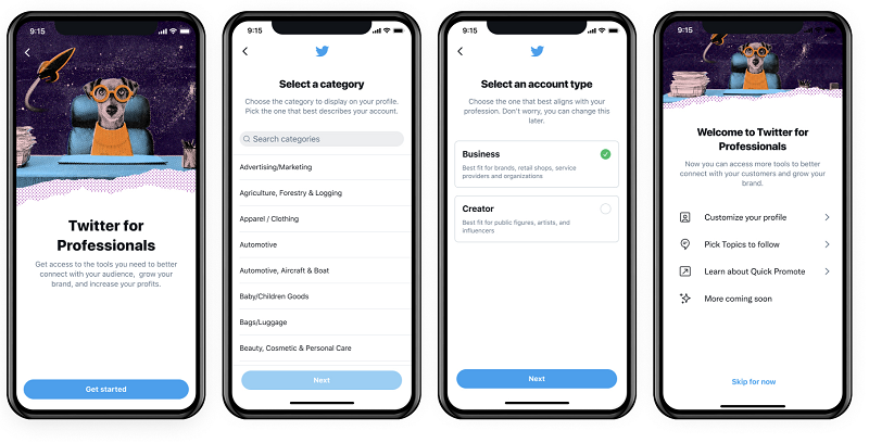 Twitter Professional Profile application process