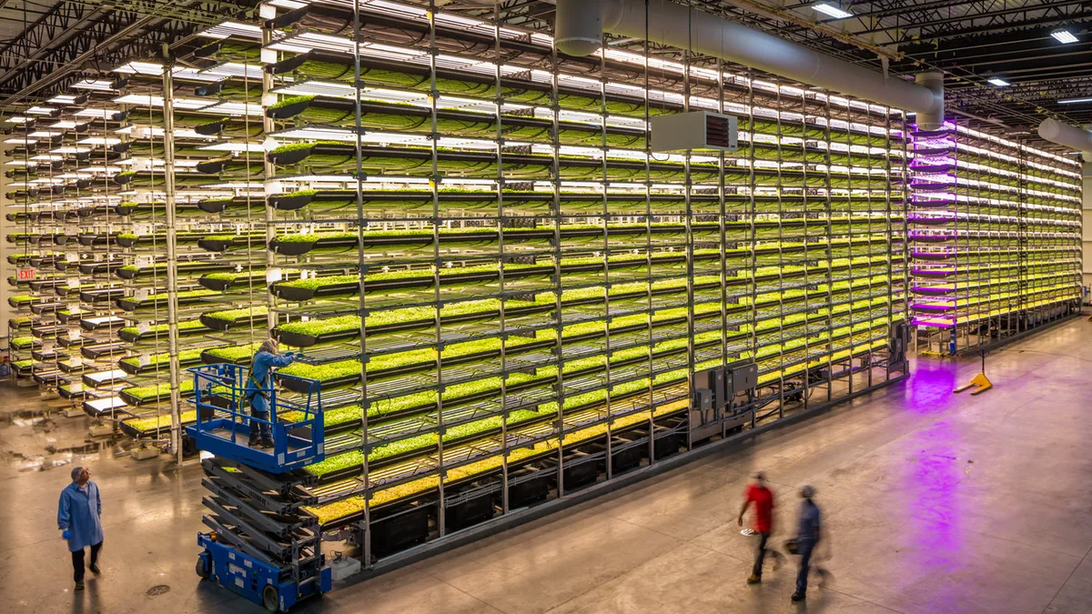 AeroFarms vertical farming