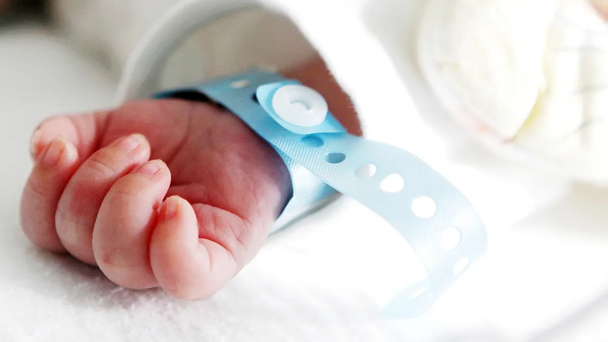 A hospital bracelet is attached to a newborn infant's wrist.