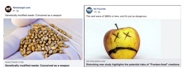 Natural News example