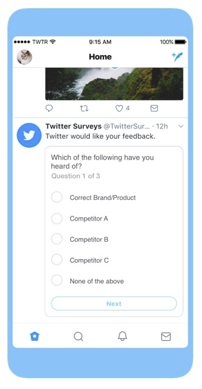 Twitter ad survey example