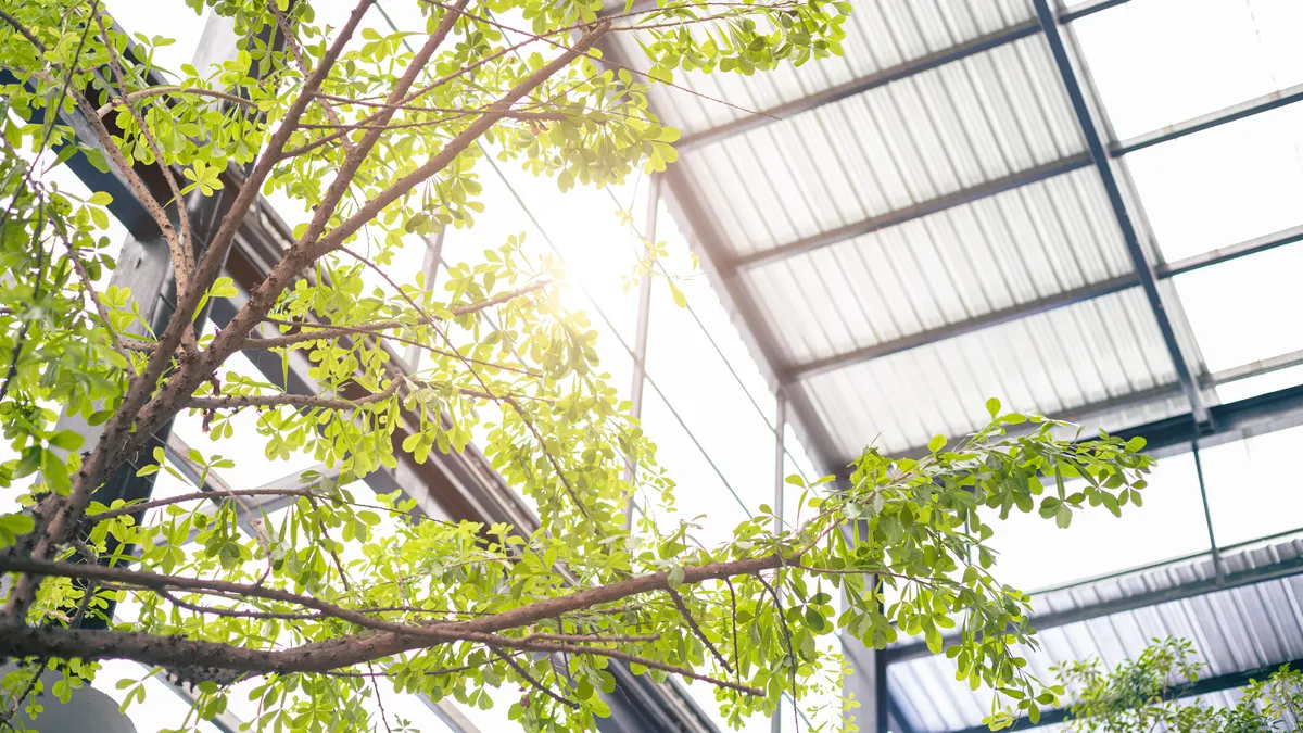 An indoor garden inside a green office building.