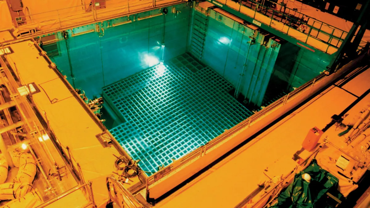 Nuclear reactor spent fuel pool