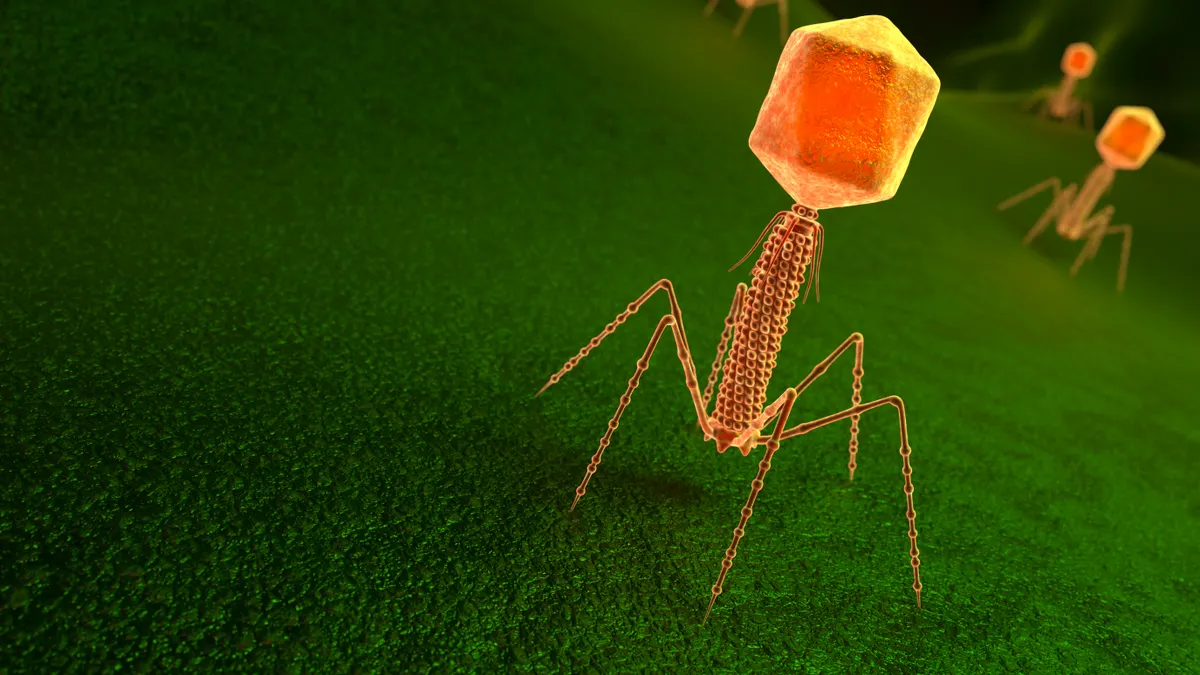 A 3D illustration of a bacteriophage virus particle on a bacteria surface.