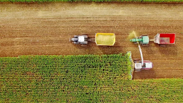 Farm machines harvesting corn in September, viewed from above