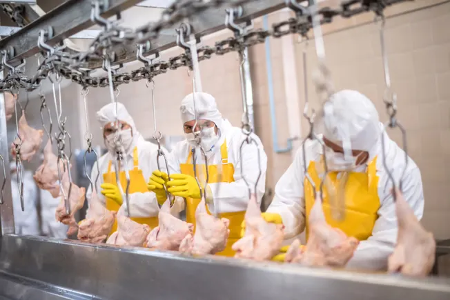 Meat plant workers face increased health risks: USDA