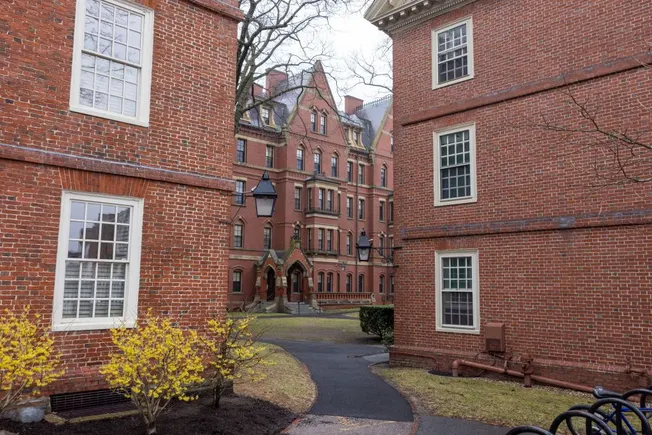 Defense Department cuts academic ties with Harvard