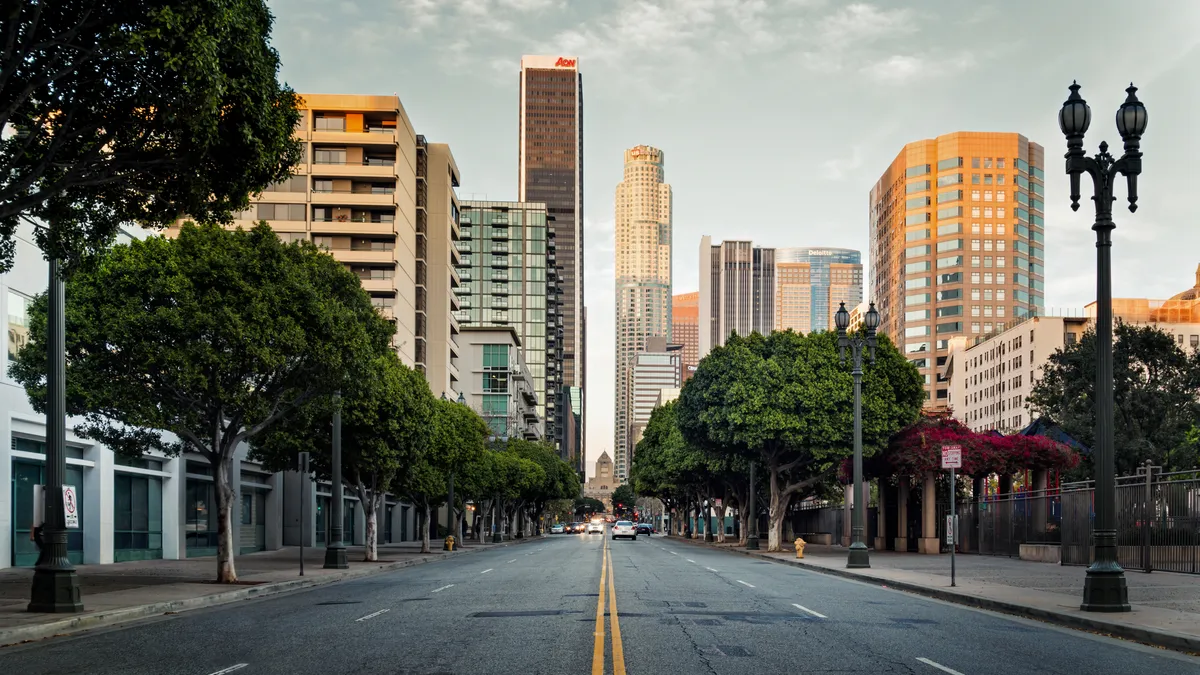 A tree-lined street and tall buildings